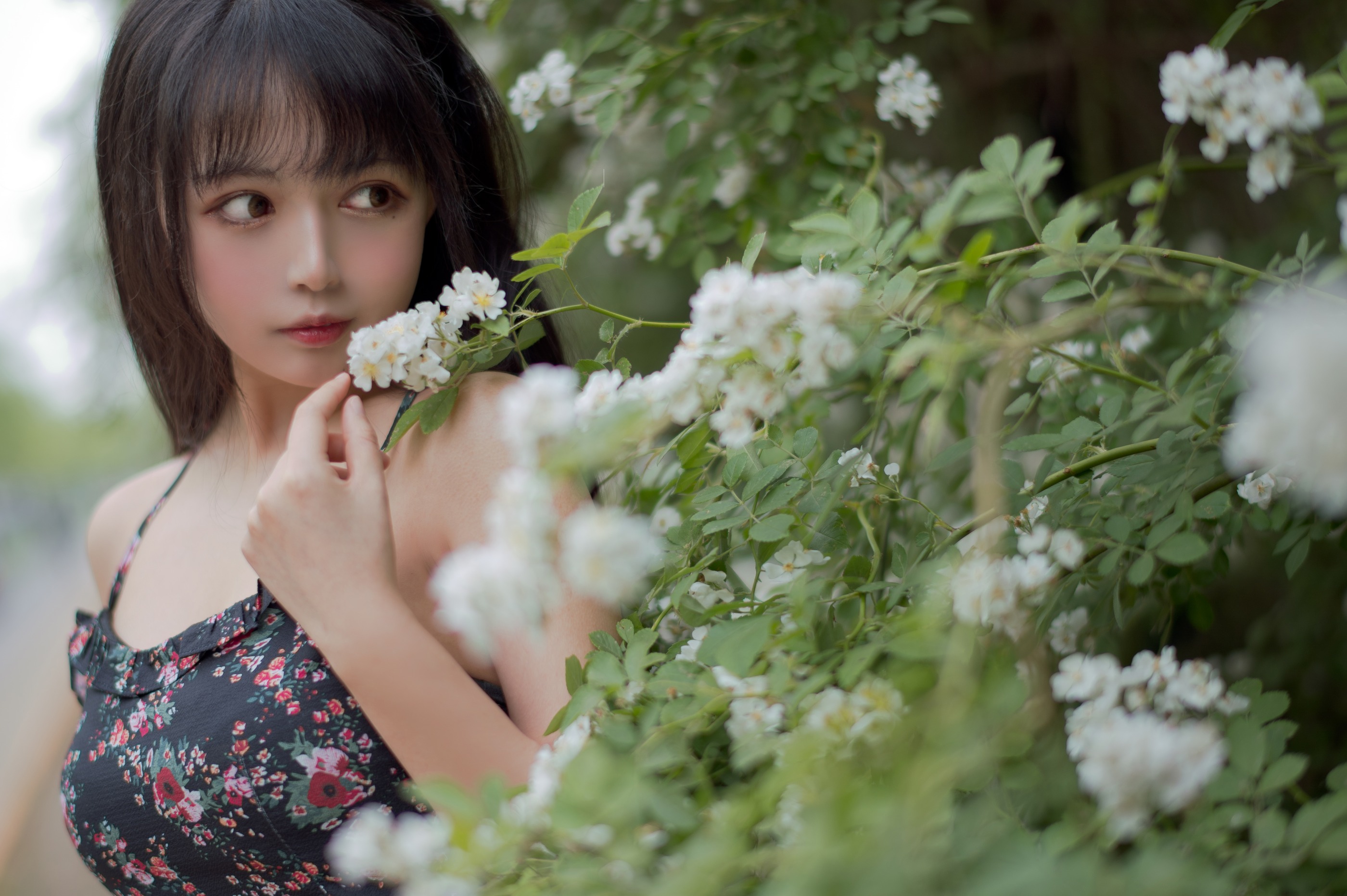 图片[1]-黑猫猫 – NO.021 蔷薇1 [22P]-XikXak